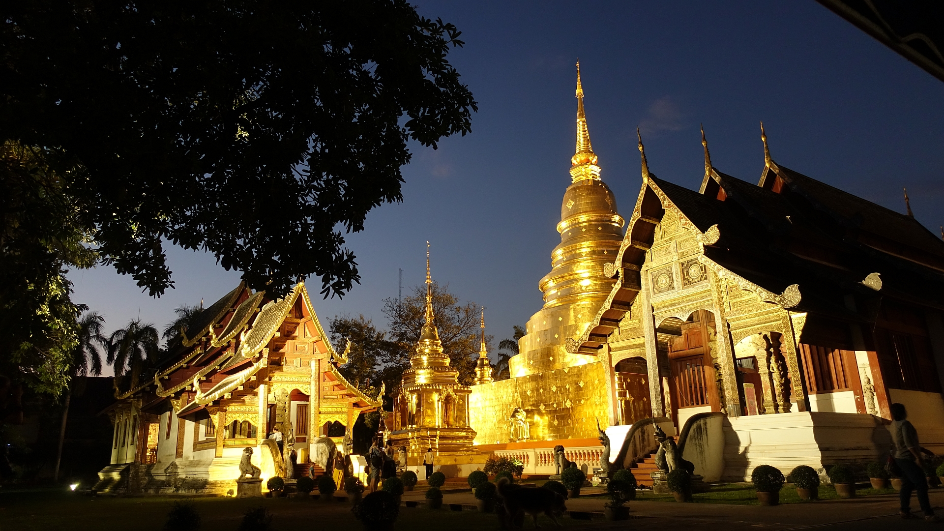 Abendstimmung im Wat Phra Singh