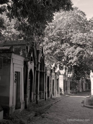 Cimetière du Père Lachaise, 2019