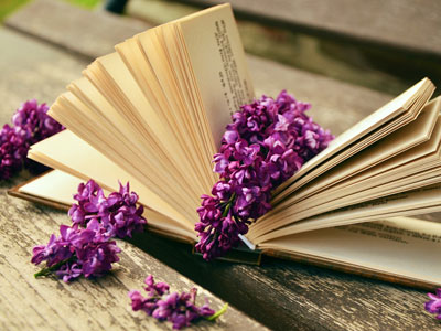 Unsere BuchTipp-Ecke