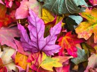 Die Welt der Farben