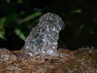 Wasserbelebung & Vitalisierung