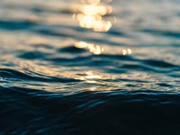 Wasser und Wasserbelebung