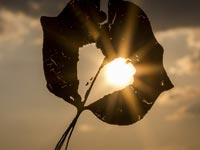 Bedeutung Symbole Herz Sonne Mond Und Stern Lichtkreis