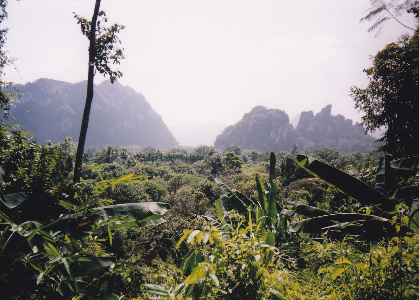 Khao Sok Nature Resort