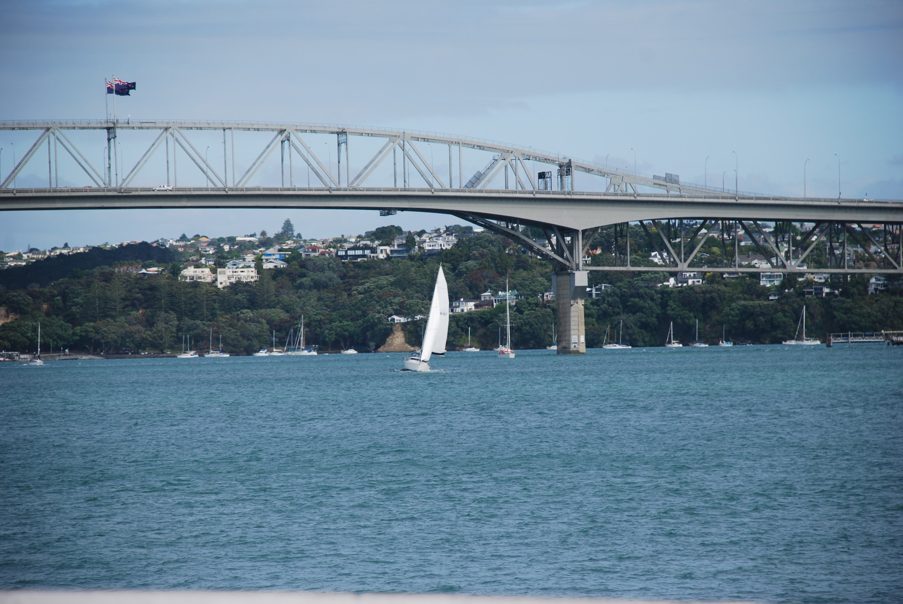 Auckland Harbour Bridge