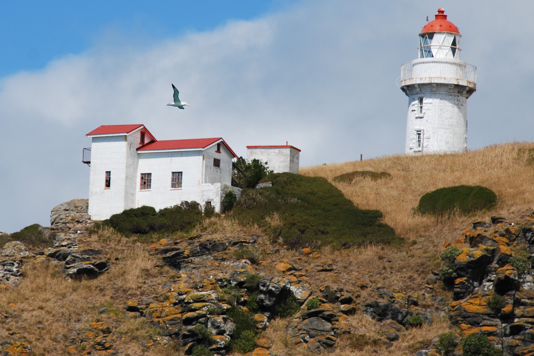 Leuchtturm am Taiaoa Head