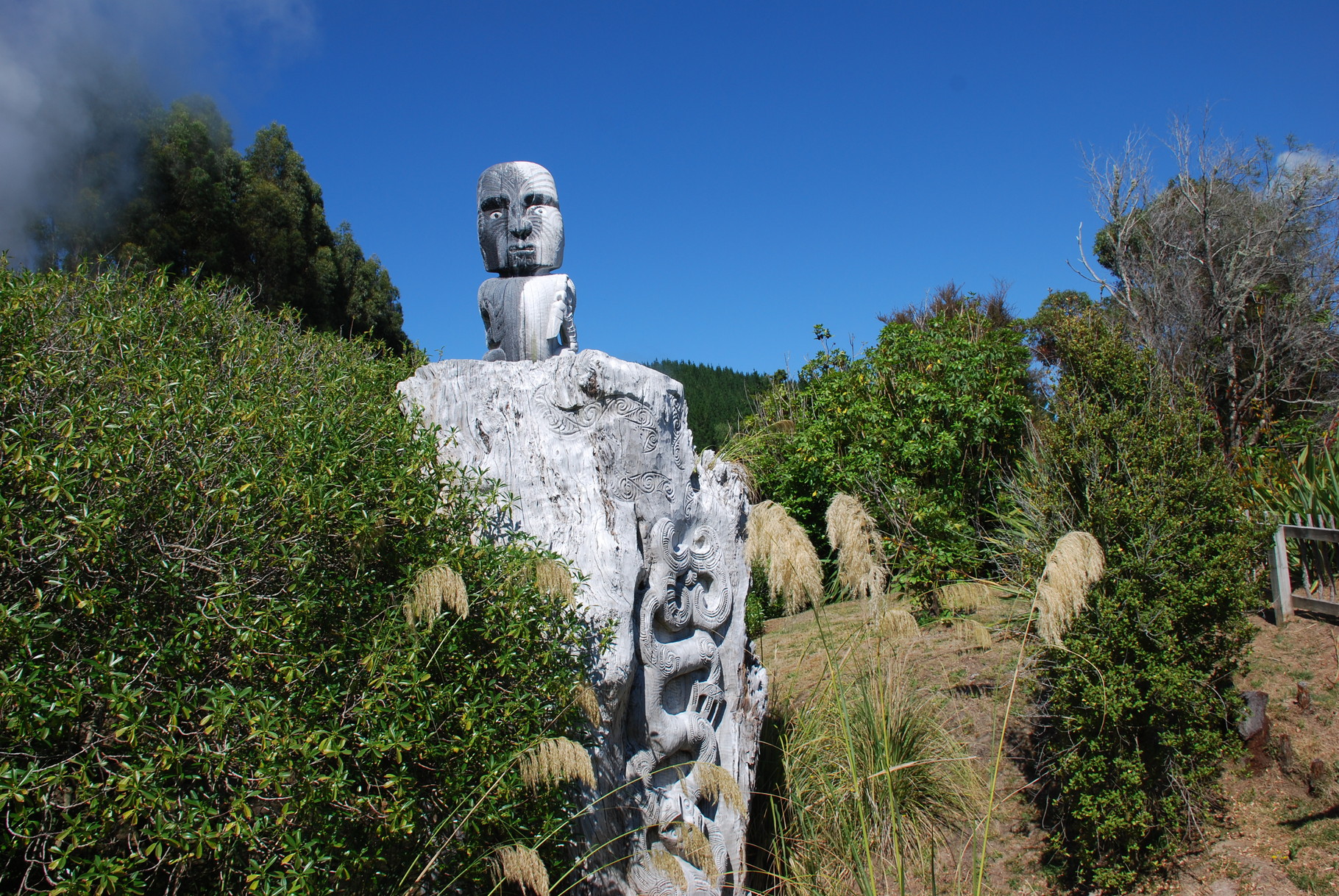 Besuch des Ngati Tuwharetoa-Stammes