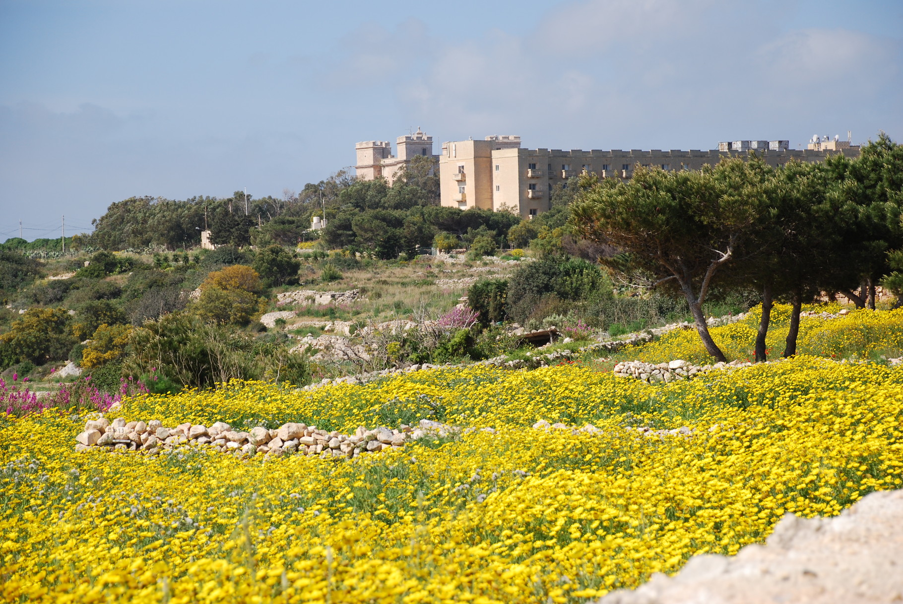 Selmun Palace