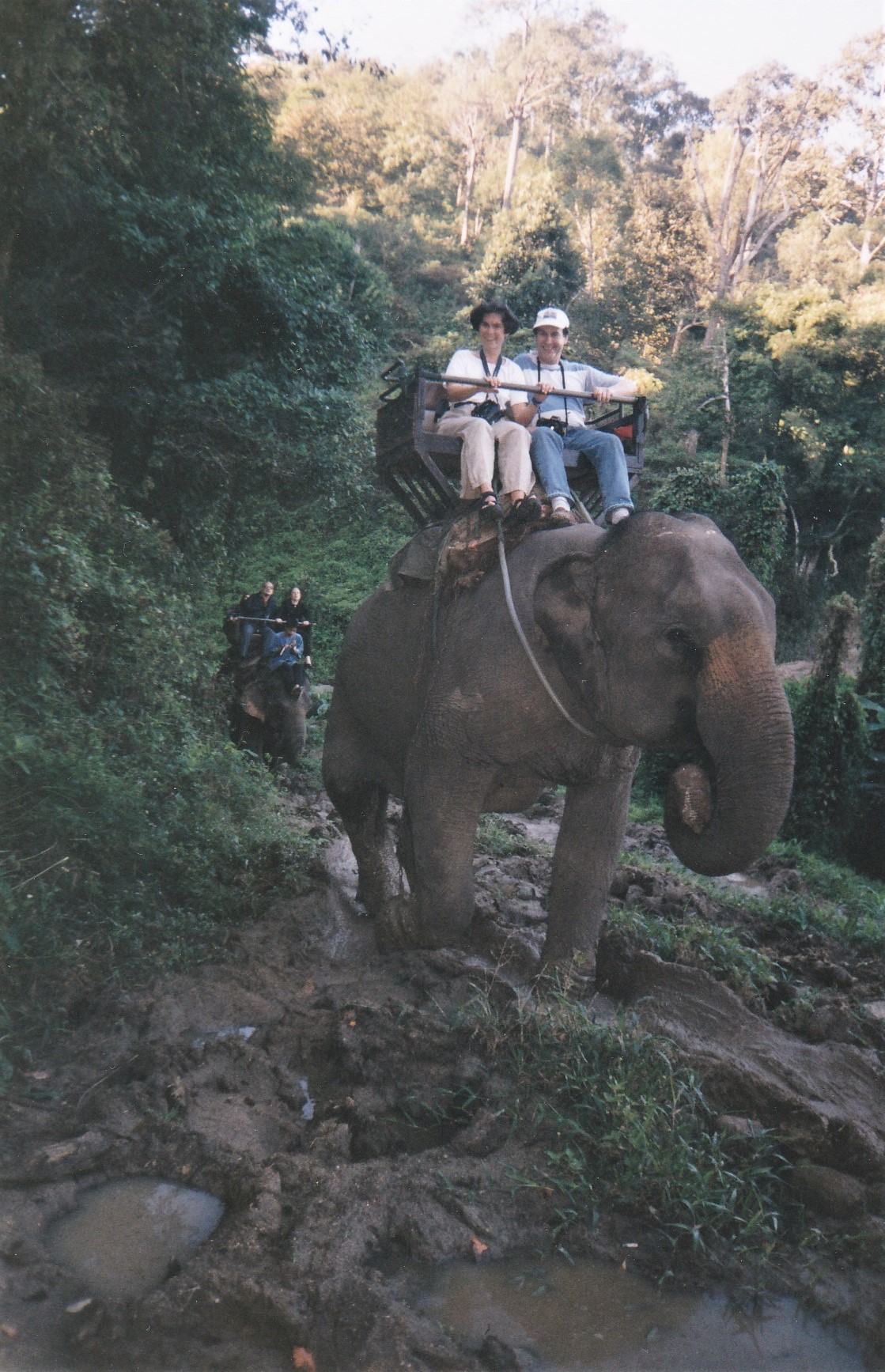Chiang Mai - Elefantencamp