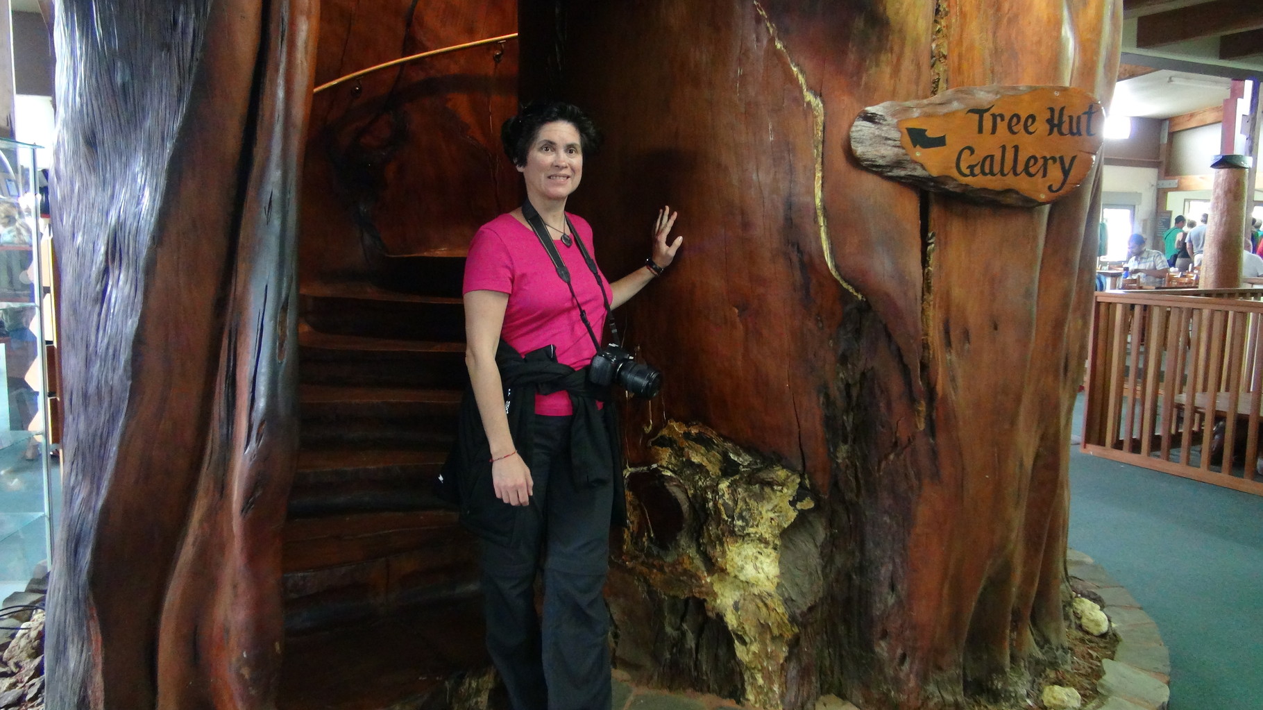 Ancient Kauri Kingdom