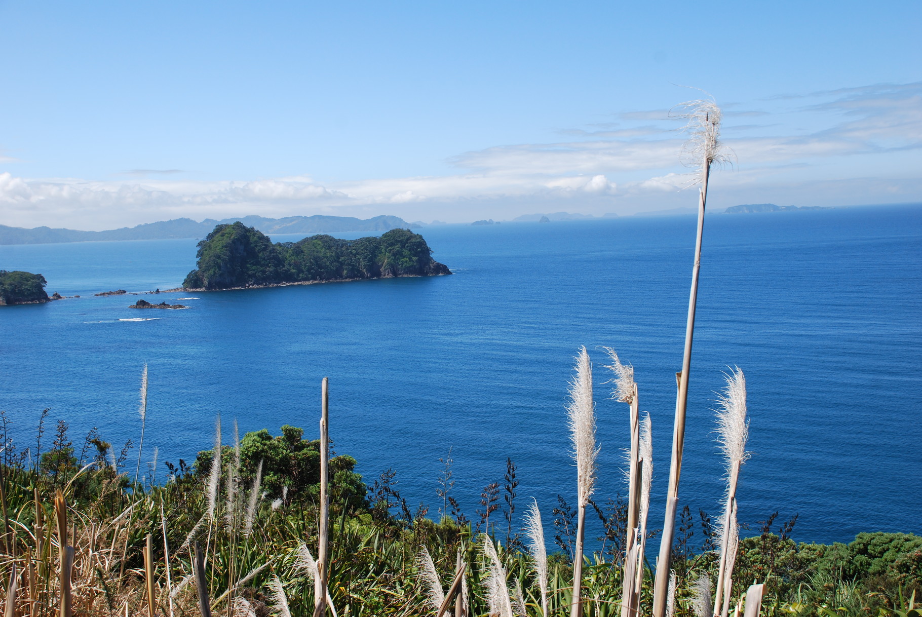 Coromandel Halbinsel (Ostküste)