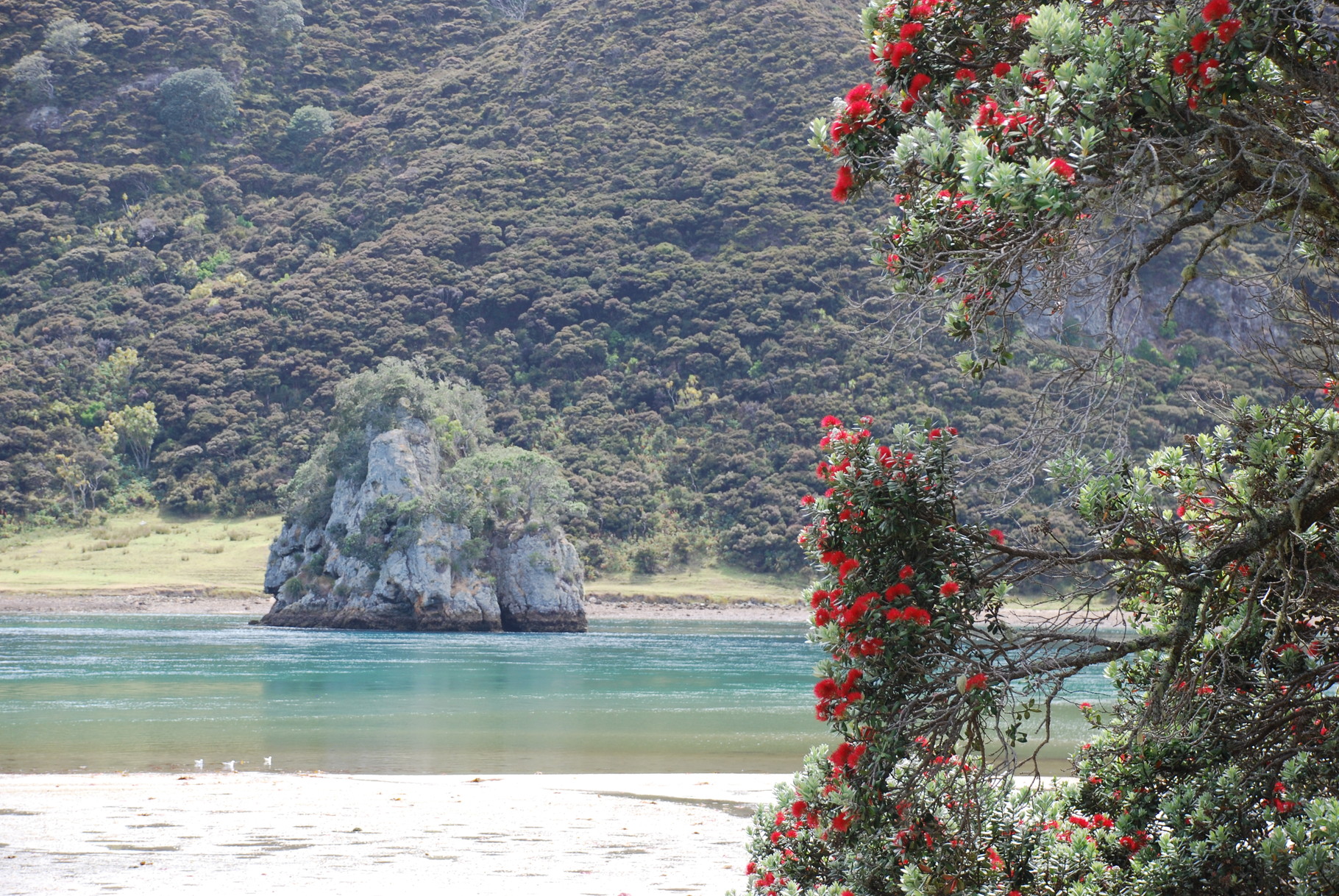 Taipa Bay