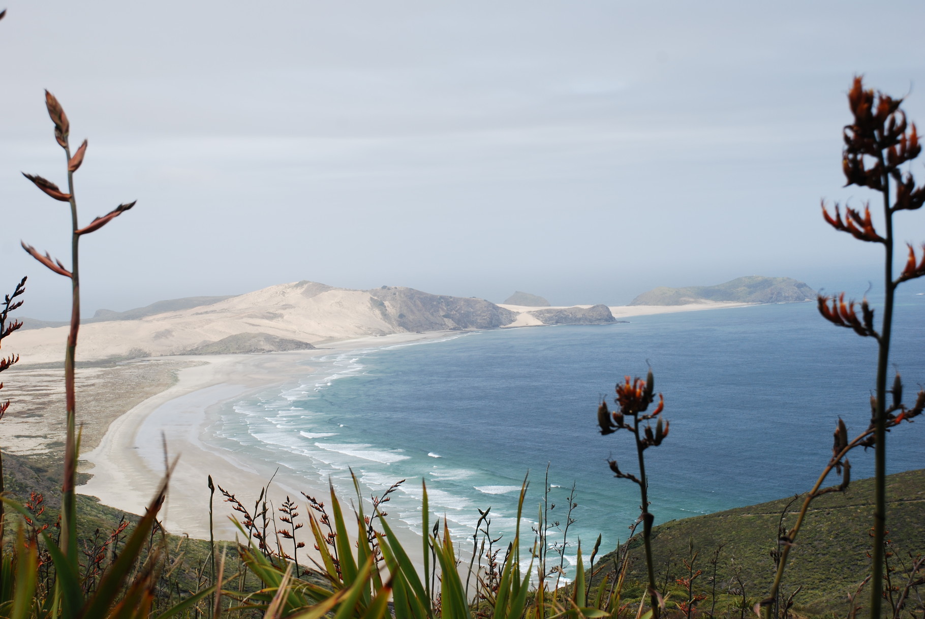 Cape Reinga