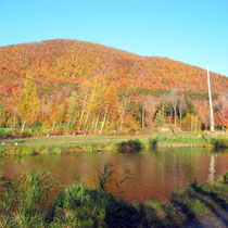 Mont St-Hilaire en automne