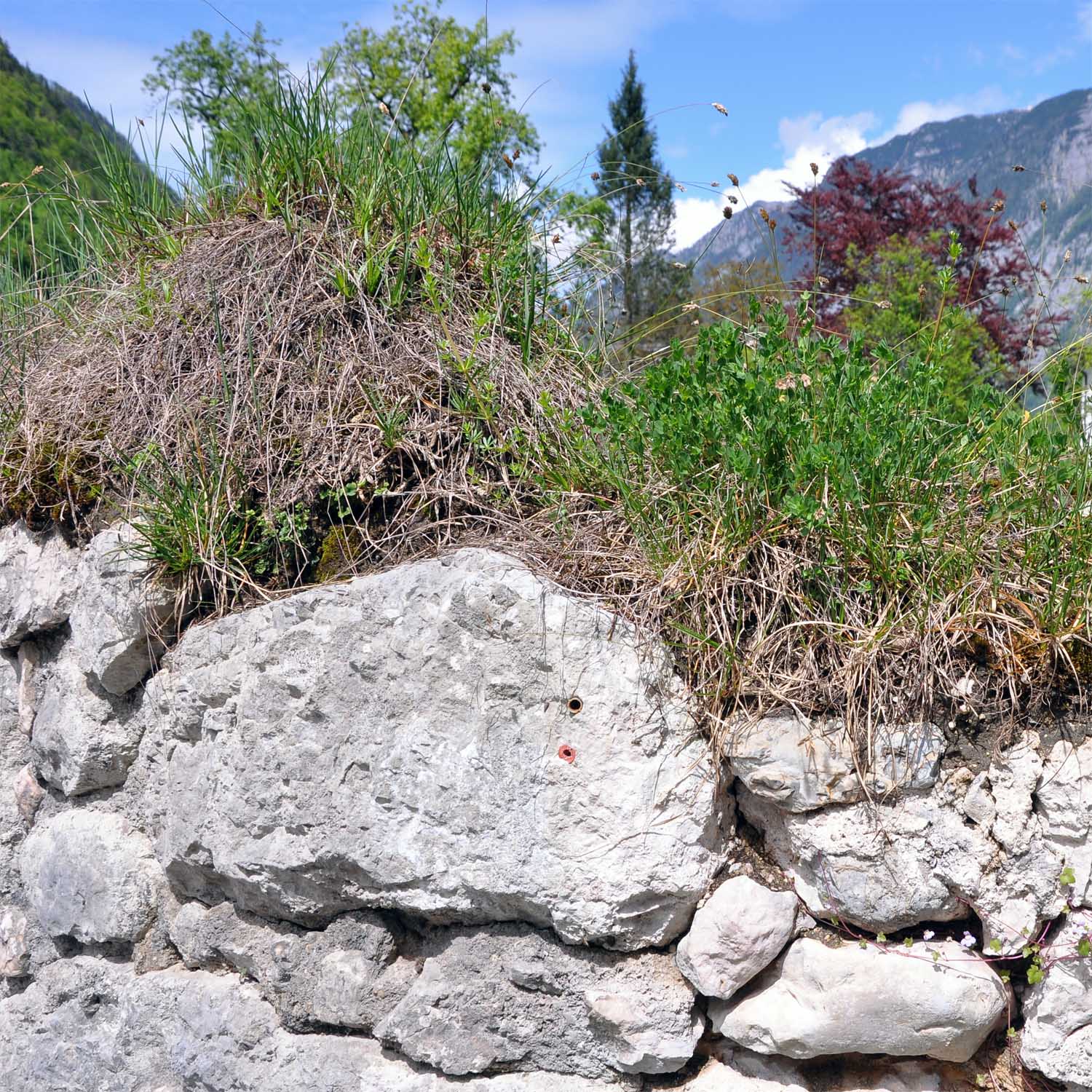 Exnovation Friedrich Idam