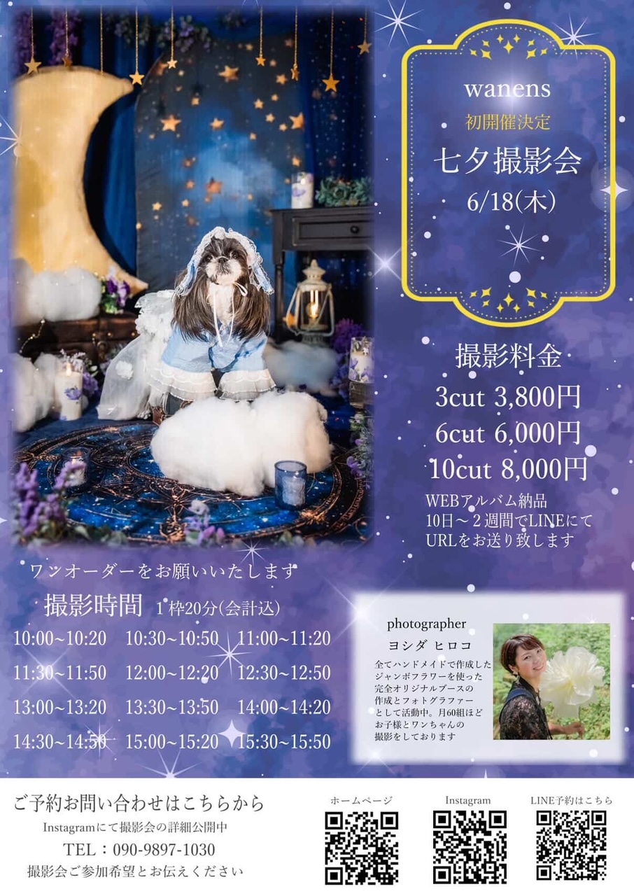 撮影会