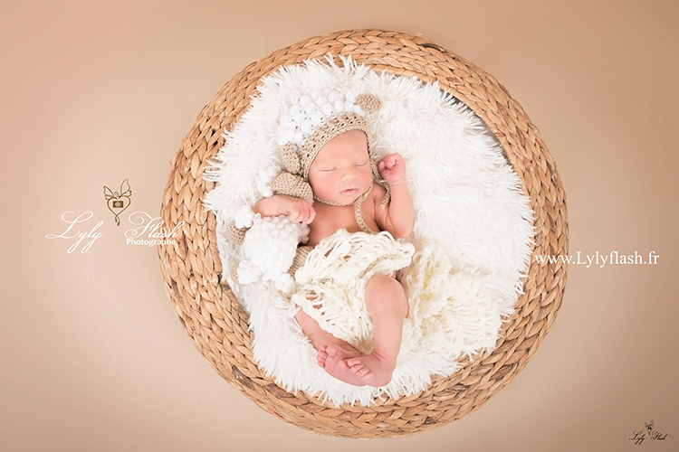 photo d'un bébé dans un panier avec une peluche mouton par une photographe de talent