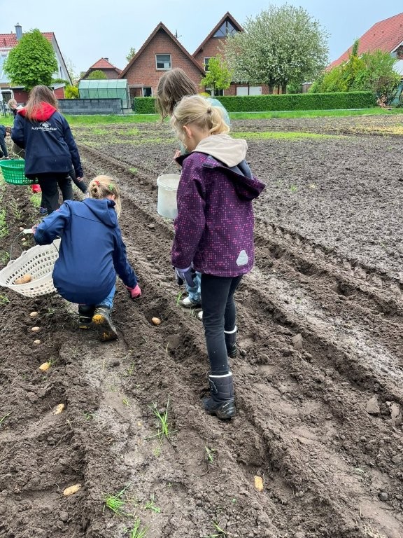 Planzen