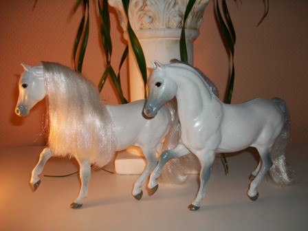 Schimmelponys aus Juli 2012