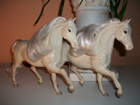 Zwei Kutschponys als Apfelschimmel aus September 2012