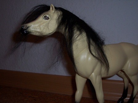 Pferd aus Januar 2008
