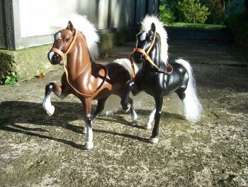Ehemalige Fliska-Isländer aus Sommer 2007