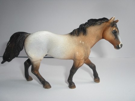 Quarter Horse Hengst (13650)