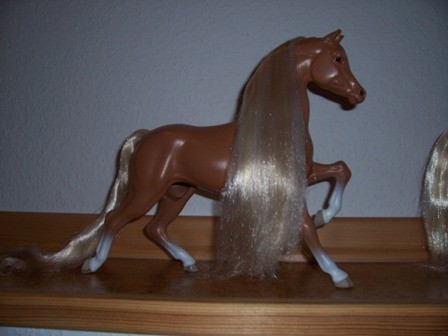Pferd aus Januar 2008