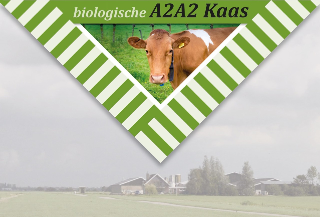 a2a2 kaas a2 kaas a2a2 kaas