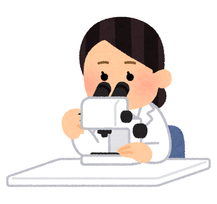 プロフィール