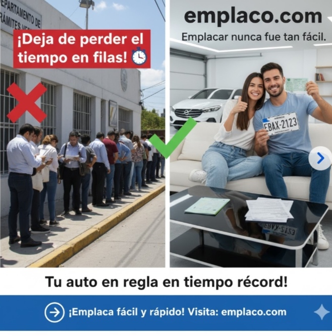 Tenemos todos los trámites 