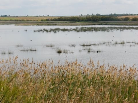 Lagune de la Vega