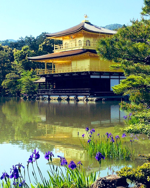 逆さ金閣