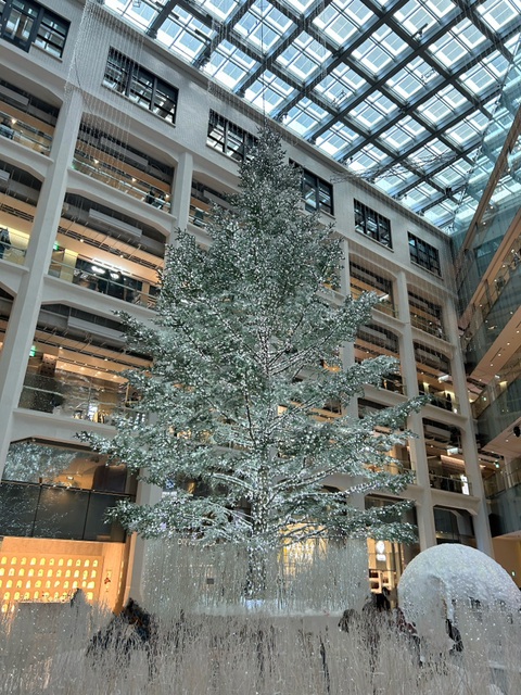 KITTEのクリスマスツリー🎄