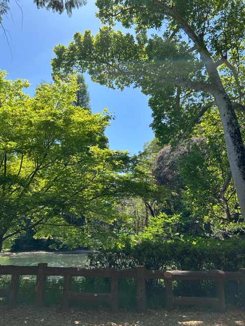 井の頭公園🌿