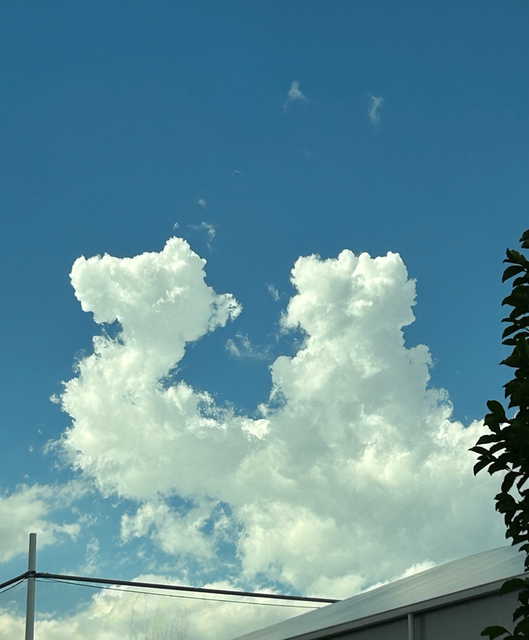 ラクダの雲です🐪