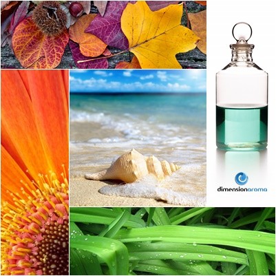 aroma evocadores de recuerdos y sentornos en la aplicación de acciones de marketing aromático.Hierba recien cortada, tierra mojada, 