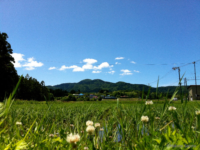 初夏の男鹿半島。なんと美しいところでしょう！