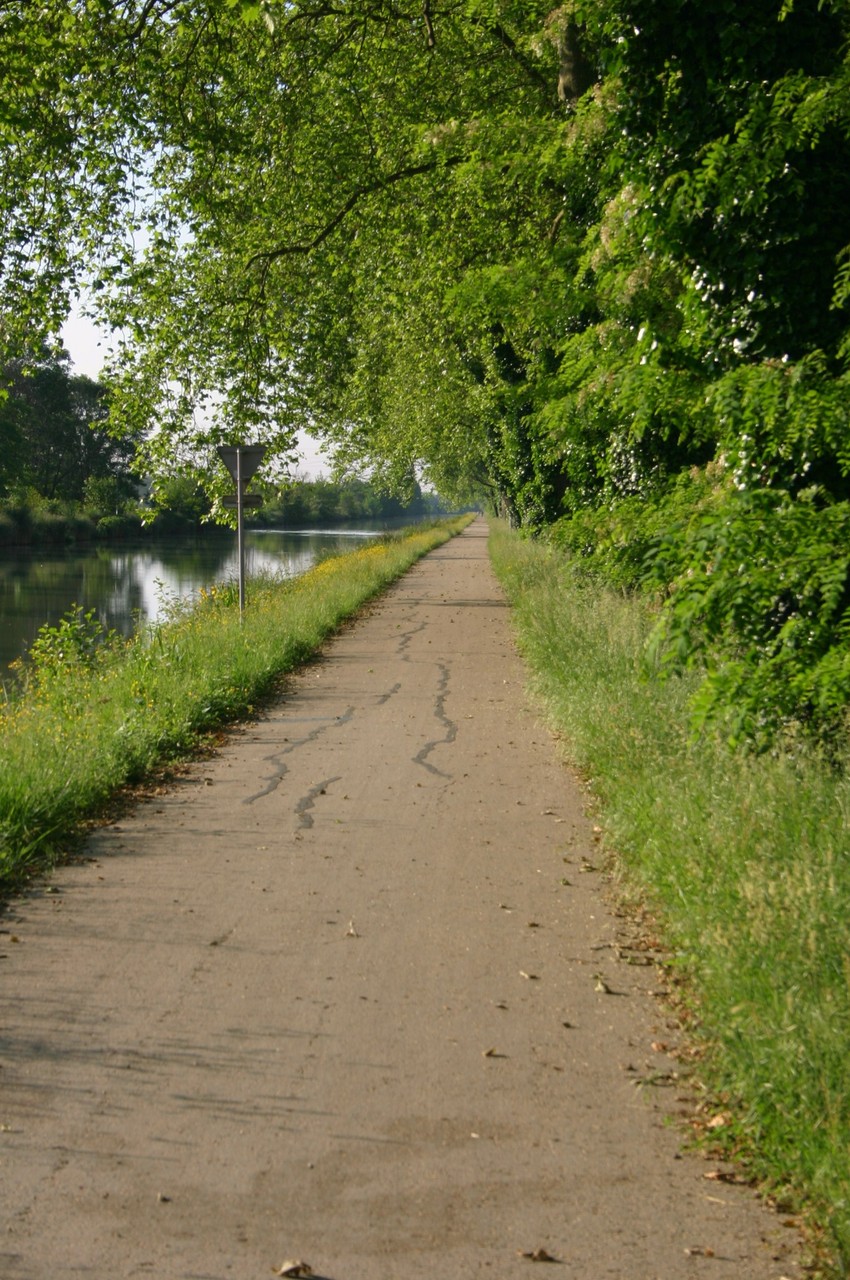 Piste cyclable vers Embalens