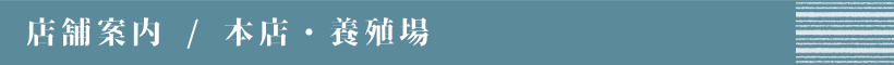 店舗案内／本店・養殖場