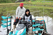 田植え作業