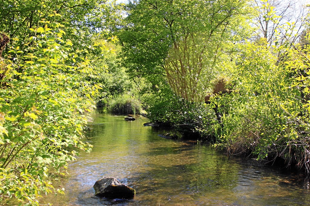 Bach im Grüttpark