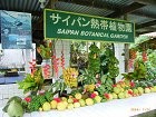 サイパン熱帯植物園