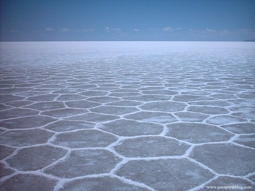 La salina più grande del mondo odierno: la Salar de Uyuni, in Bolivia. Il Mediterraneo nel Messiniano doveva presentarsi così in molti punti (da Google)