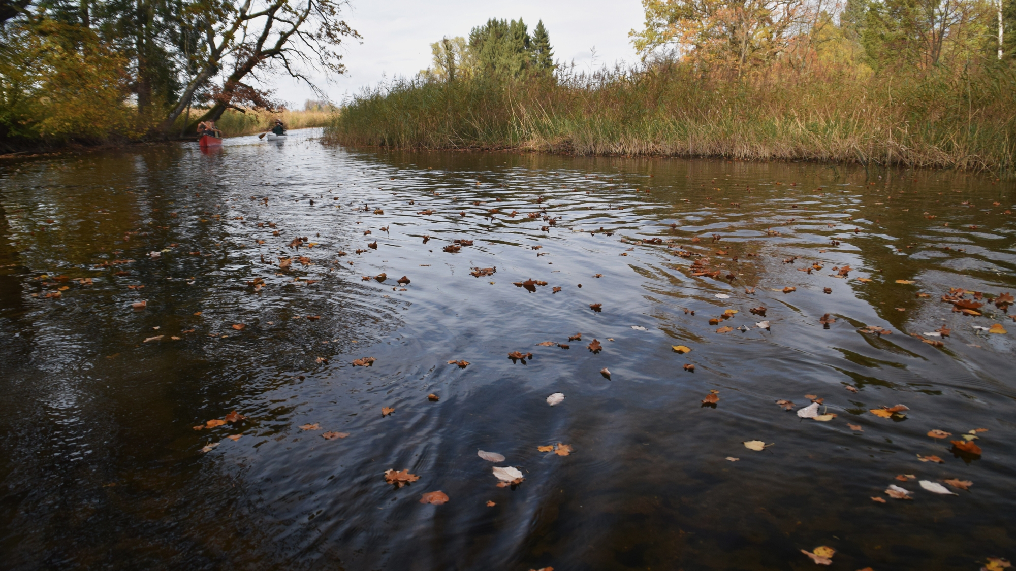 AOC Herbsttreffen am Staffelsee