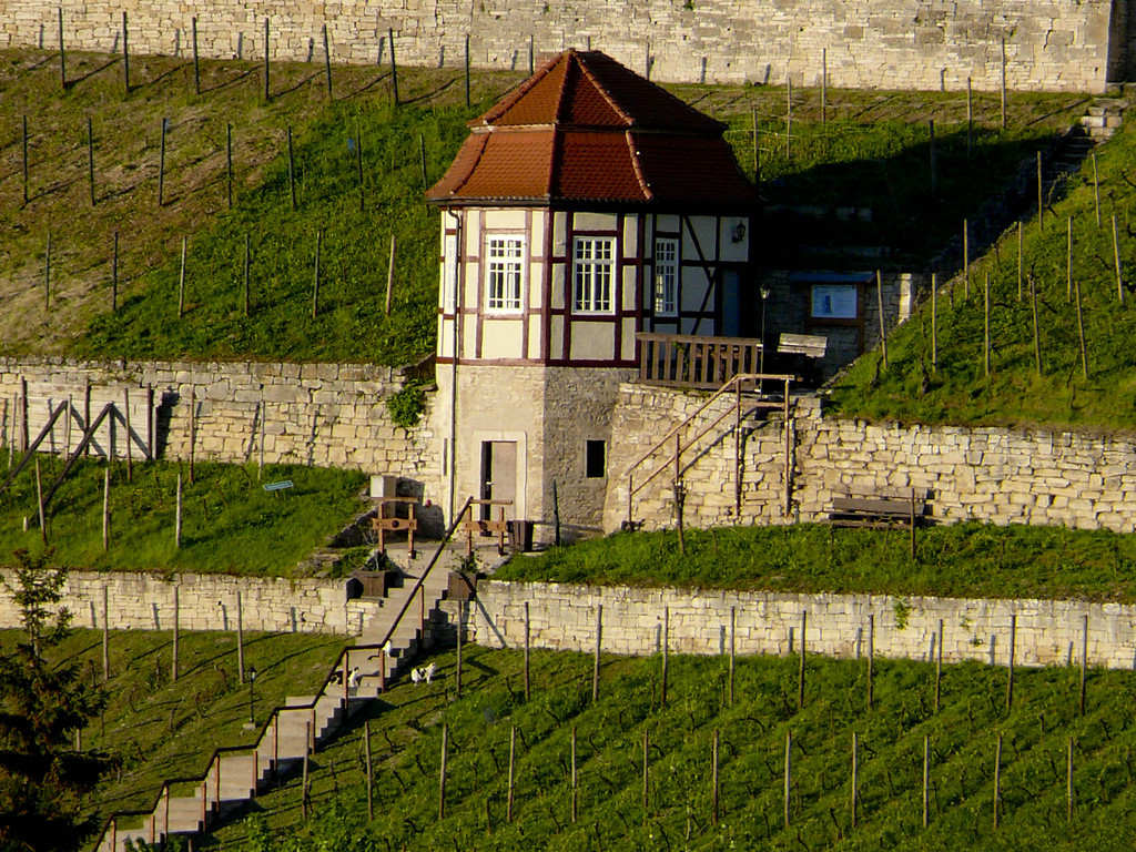 Umgebung - Weinanbaugebiet Freyburg