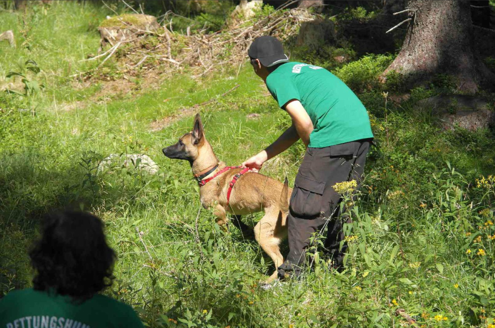 Grünes Kreuz - Sommertraining 08/2013