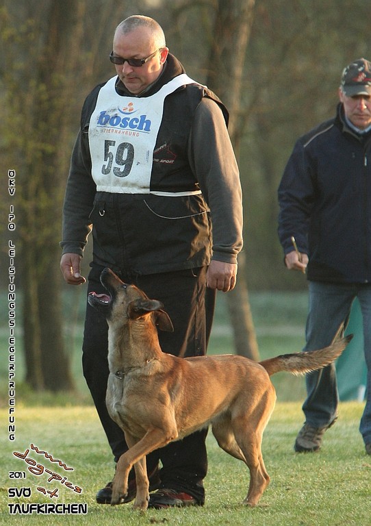 ÖKV-Leistungssiegerprüfung 2011