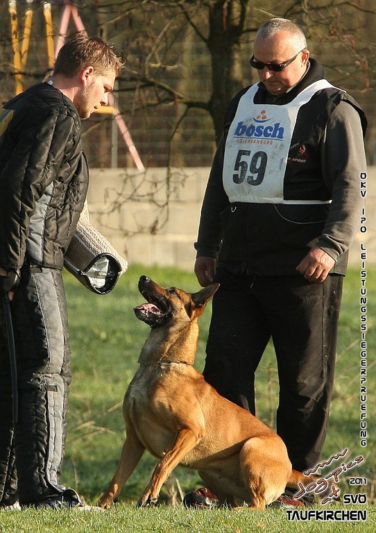 ÖKV-Leistungssiegerprüfung 2011