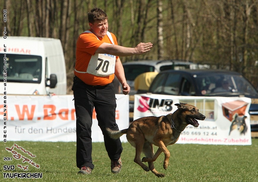 ÖKV-Leistungssiegerprüfung 2011